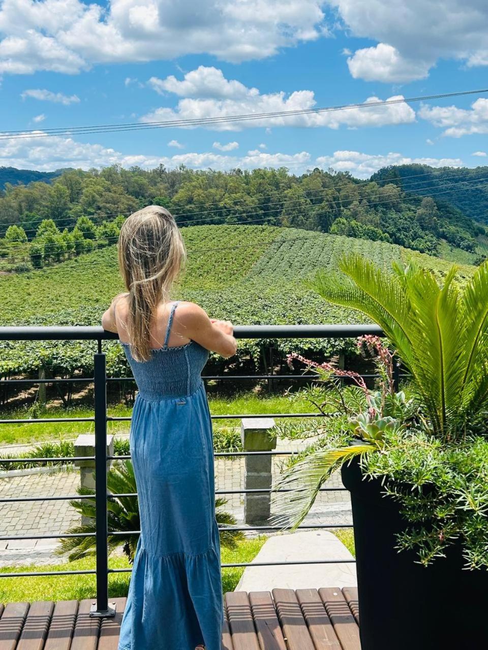 Vista Vigneti Albergo & Vino - Vale Dos Vinhedos Бенту-Гонсалвіс Екстер'єр фото